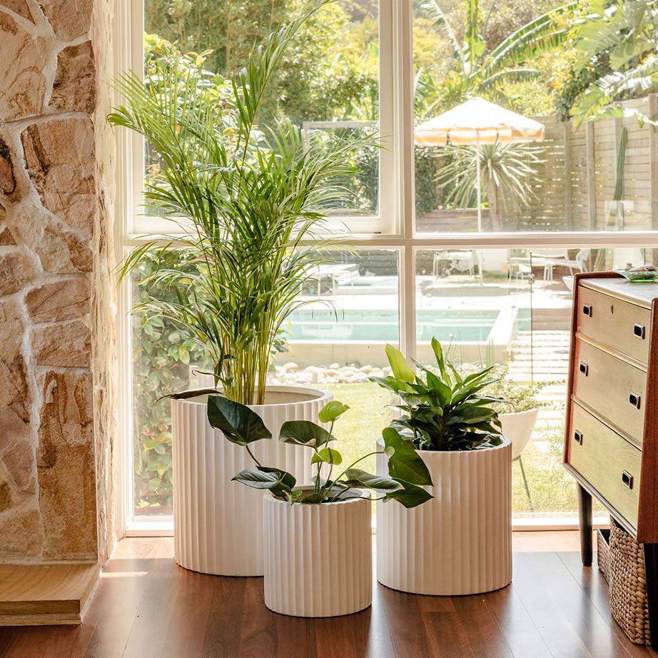 Dark wood, seventies-inspired decor living room with three white pot plants clustered in front of a white framed window. 