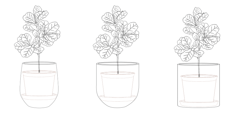 Place the plastic tray inside of the Slugg Pot and then place your plant still in its nursery pot on top.